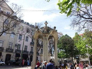 DSC06454_R