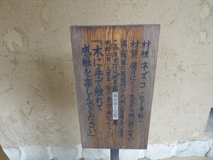 DSC09731_R