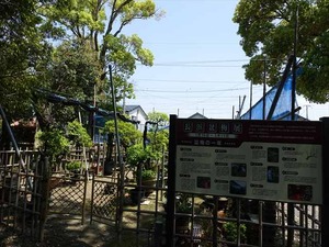 DSC05231_R