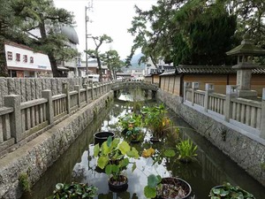 DSC09636_R