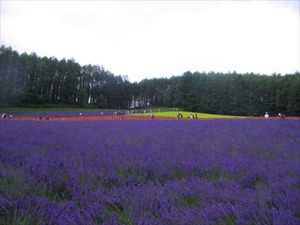 IMG_0666_R
