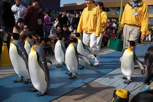 IMG_0922