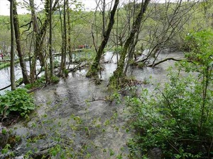 DSC00760_R