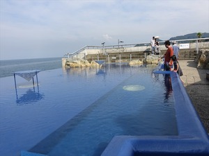 DSC05662_R