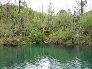 DSC00746_R