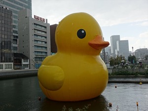 DSC07278_R