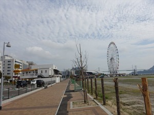 DSC05959_R