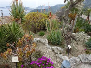 DSC09914_R