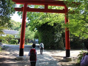 IMG_4796_R