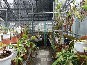 DSC09432_R