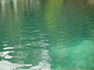 DSC00749_R