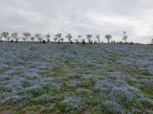DSC00129_R