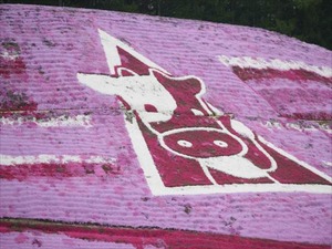 IMG_1696_R
