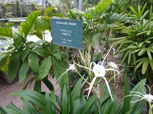 DSC09418_R