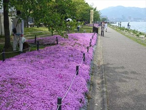 DSC05159_R