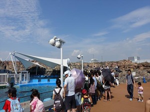 DSC03487_R