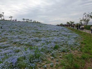 DSC00128_R