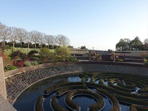 DSC07646_R