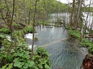DSC00719_R