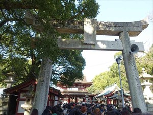 DSC01357_R