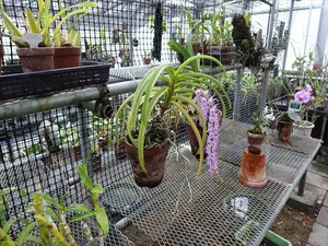 DSC09436_R