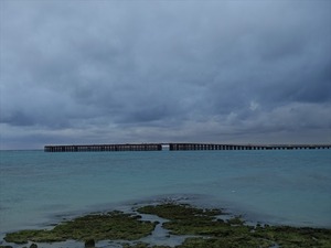 DSC07401_R