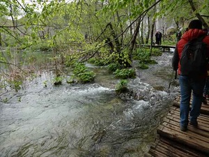 DSC00779_R