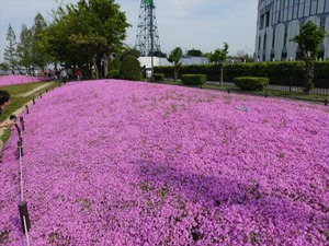 DSC05176_R