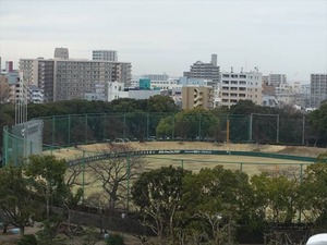 DSC08835_R