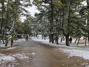 IMG_2688_R