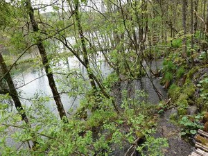 DSC00791_R