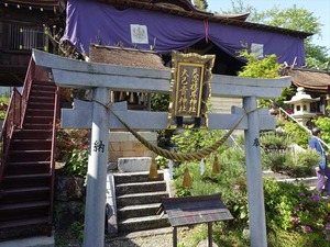 DSC05864_R