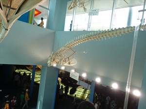 DSC03480_R