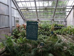 DSC09419_R