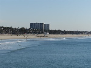 DSC07545_R