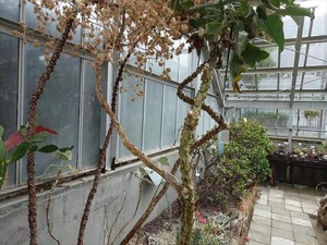DSC09442_R