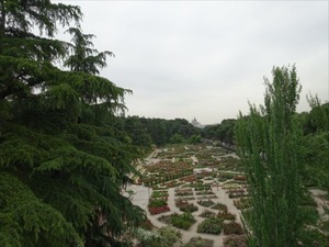 DSC03813_R