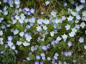DSC00159_R