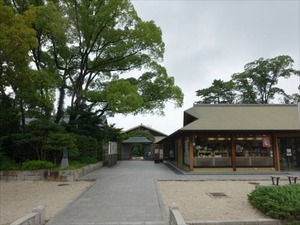 DSC07032_R