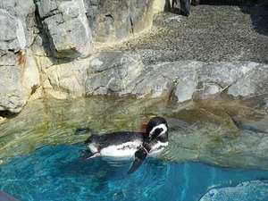 DSC05694_R