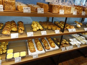 DSC05516_R