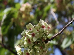 IMG_1613_R