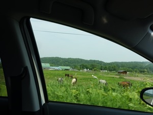 DSC05849_R