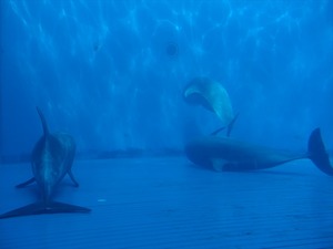 DSC05622_R