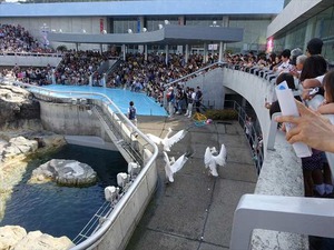 DSC05704_R