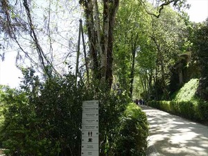 DSC06849_R