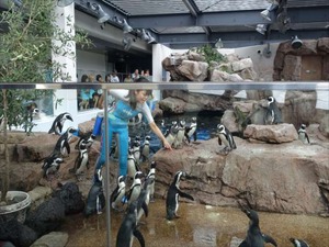DSC08050_R