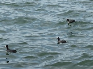 DSC05161_R