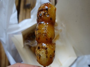 DSC09250_R