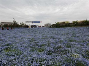 DSC00187_R